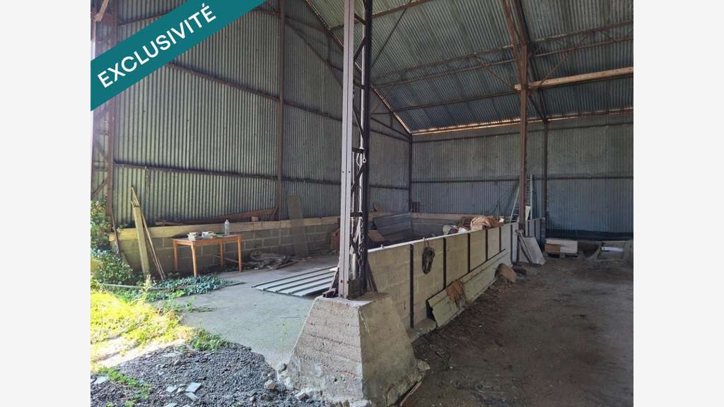Hangar 225 m² à vendre proche chilleurs-aux-Bois