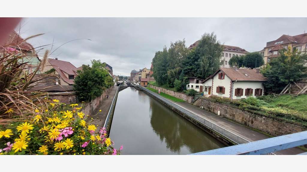 Local commercial 99m² en centre ville de Saverne 