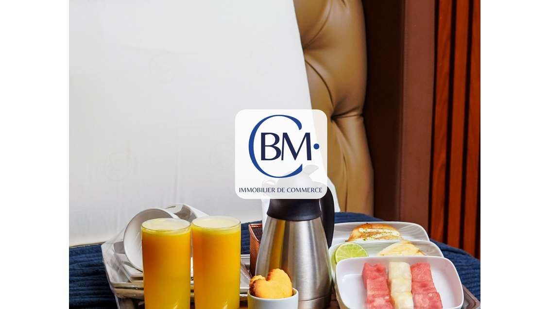 HOTEL - TOULOUSE PATTE D'OIE - 245 m²