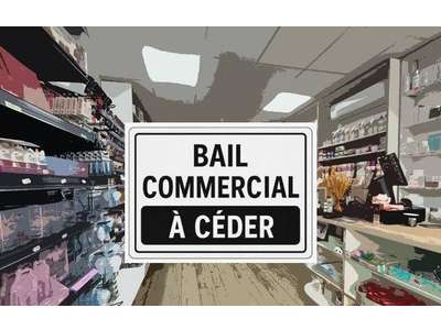 Vente Locaux commerciaux - Boutiques à Vaires-sur-Marne