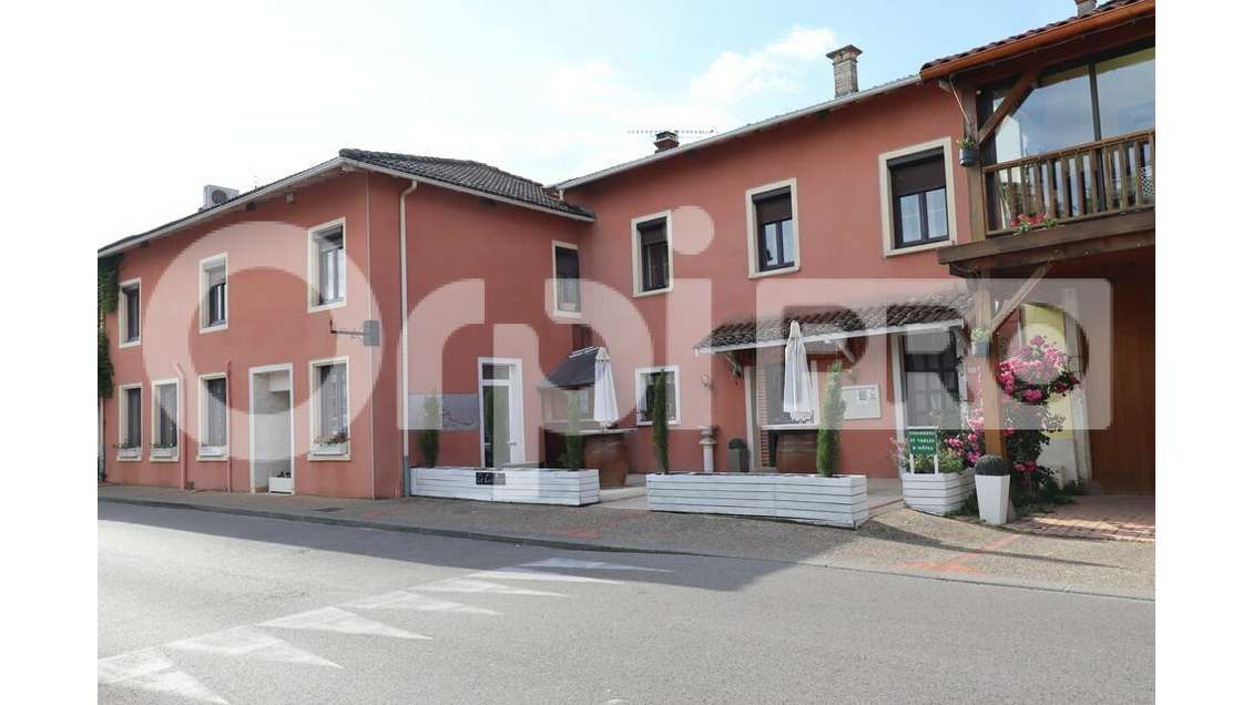 Maison d'hôtes à vendre à Marlieux centre 