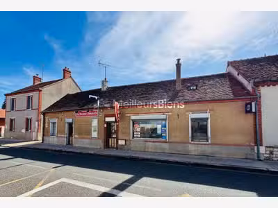Vente ensemble immobilier de 234m² à Villemandeur