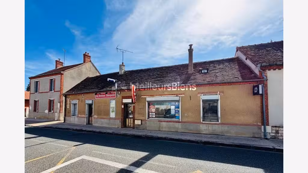 Vente ensemble immobilier de 234m² à Villemandeur