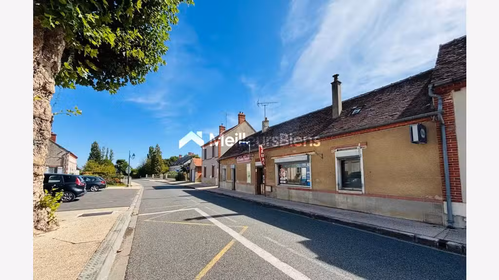 Vente ensemble immobilier de 234m² à Villemandeur