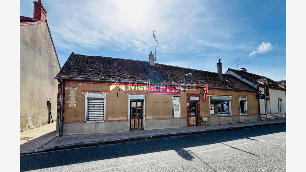 Vente ensemble immobilier de 234m² à Villemandeur