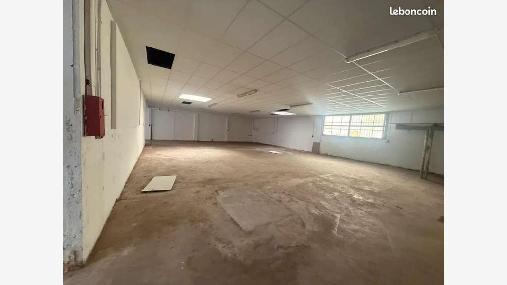 Vente local d'activité 380m² à Villeurbanne Cusset