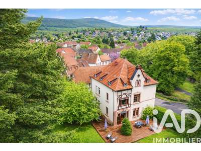 Vente Locaux commerciaux - Boutiques à Wissembourg