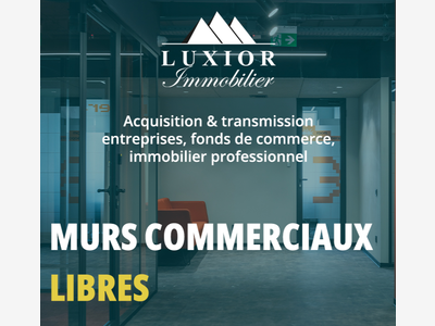 Finistère, à vendre local commercial 500m², N°1