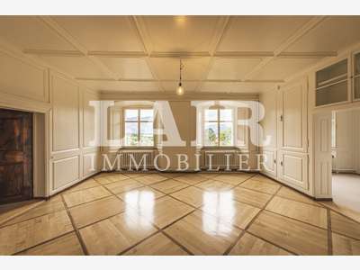 Vente murs commerciaux 1700m² à Mayenne