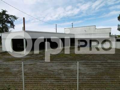 Vente Locaux commerciaux - Boutiques à Nègrepelisse