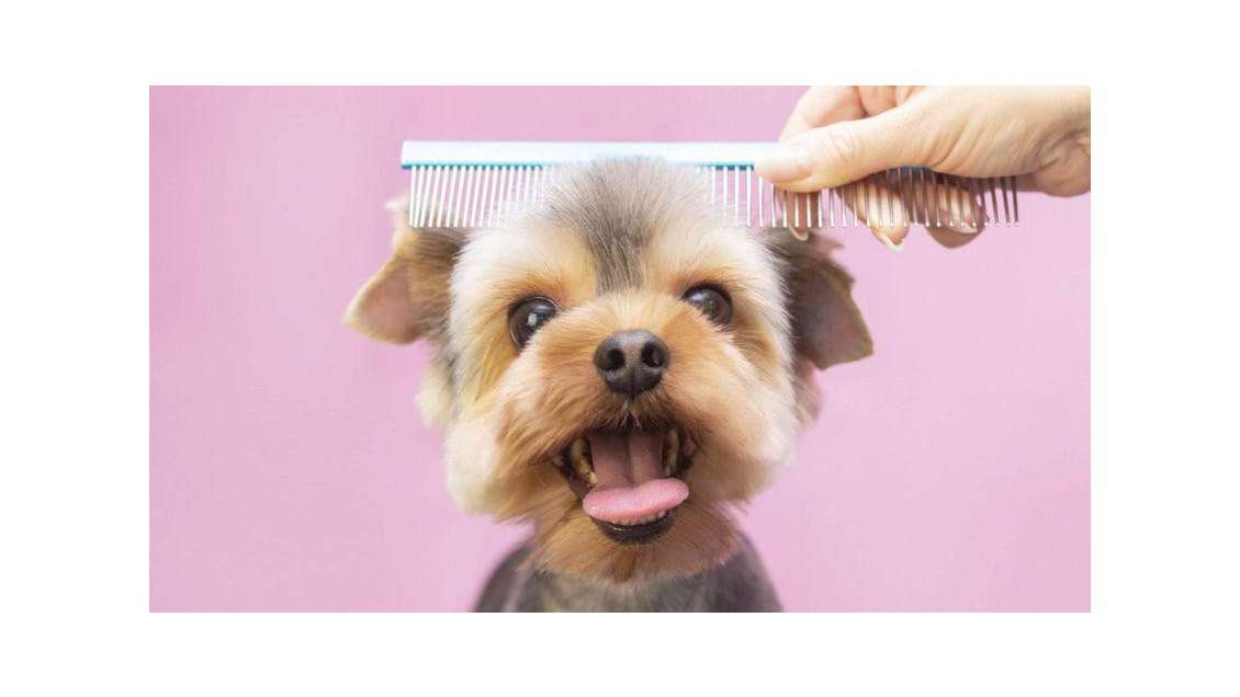 Vente local 65m² Saint-Ouen-l'Aumône grand Centre