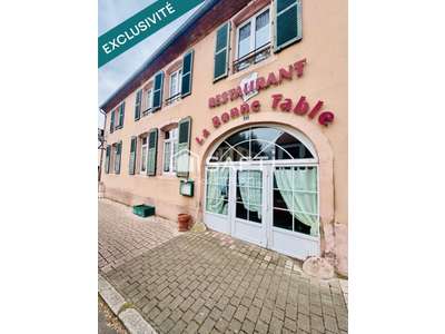 Vente Locaux commerciaux - Boutiques à Sarre-Union