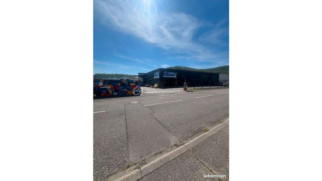Vente local commercial & dépôt 941.60m² à Soultz