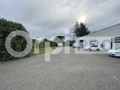 Vente Locaux d'activités - Entrepôts à Albias