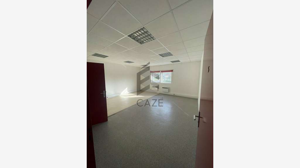 Local professionnel de 250m² à vendre en ZA de Pau