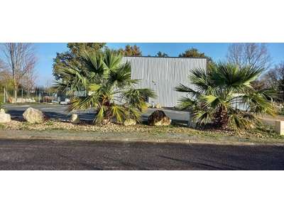 Vente Locaux commerciaux - Boutiques à Saint-Seurin-sur-l'Isle