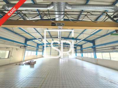 Vente Locaux d'activités - Entrepôts à Celles-sur-Durolle