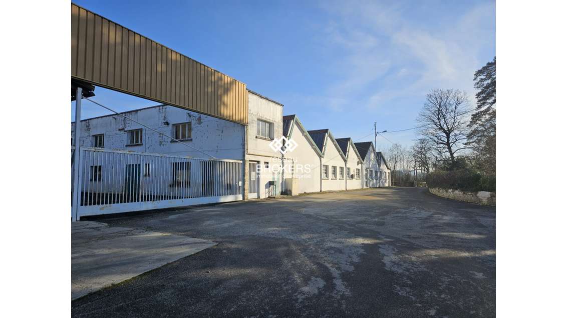 Vente bâtiment industriel 7429m² zone Ux Cousance