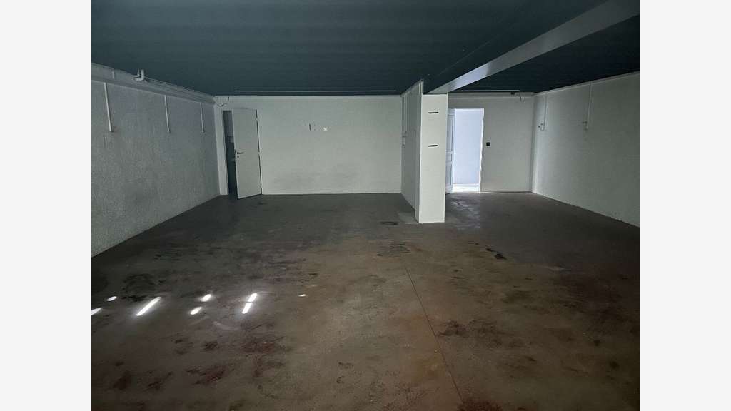 Vente local activité bureaux 224m² à Lissieu