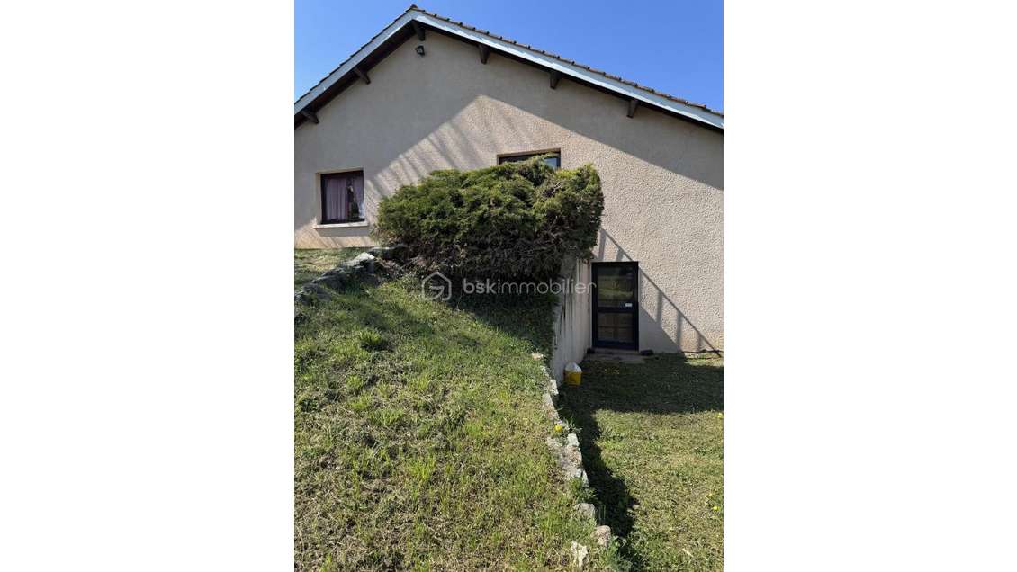 Vente local d'activité 5000m² Saint-Haon-le-Vieux