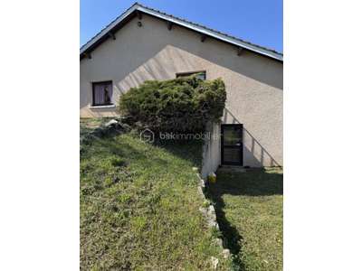 Vente Locaux d'activités - Entrepôts à Saint-Haon-le-Vieux