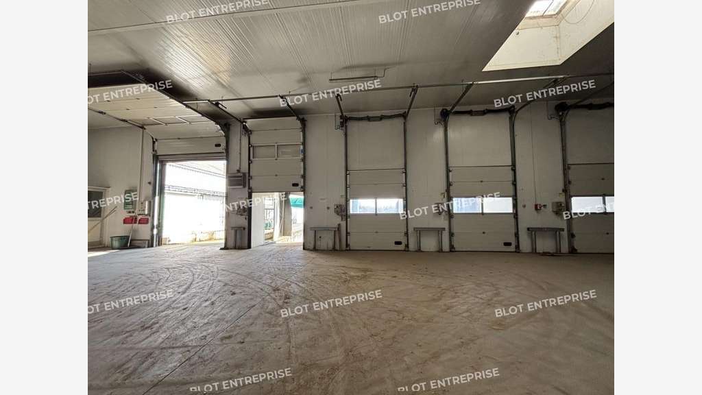Vente locaux 1 673m² à Saint-Julien-de-Concelles