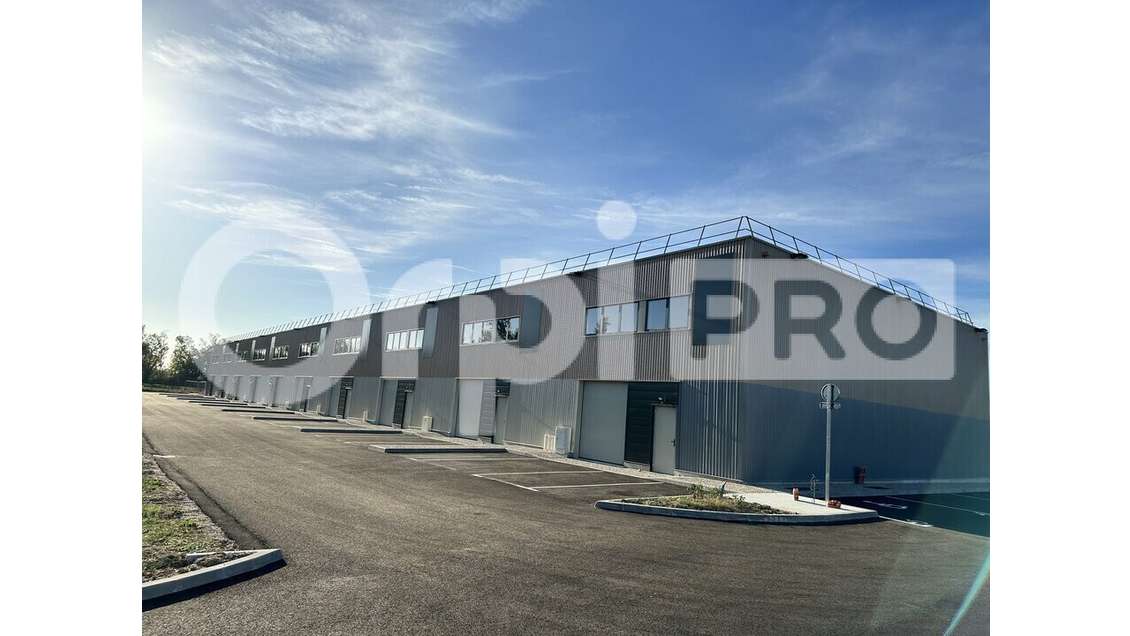 Vente locaux neufs de 180 m² à 250 m² à Montauban