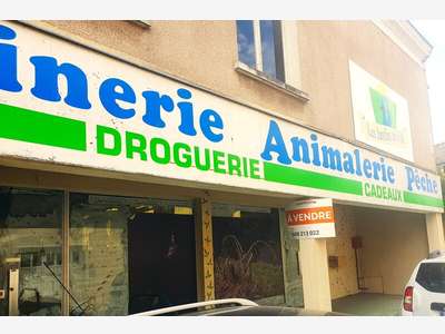 Vente beau local centre ville de l'Ile Bouchard, 