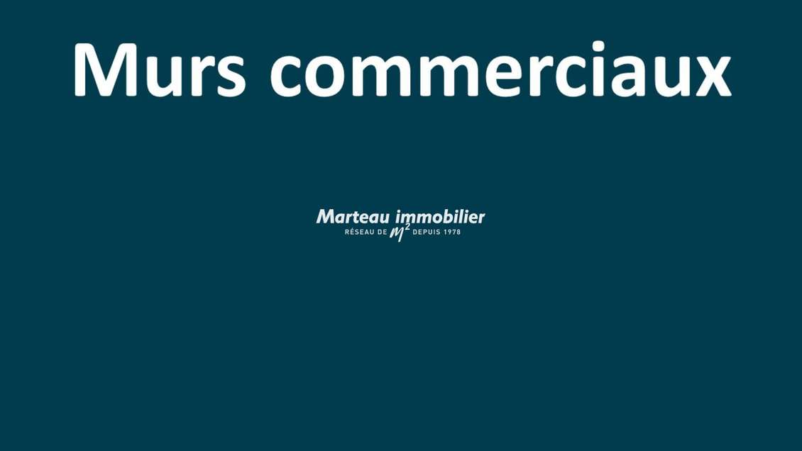 A vendre murs commerciaux avec F3 Le Mans Sud