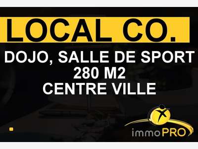 Cède local salle de sport dojo 288m² à Lyon centre