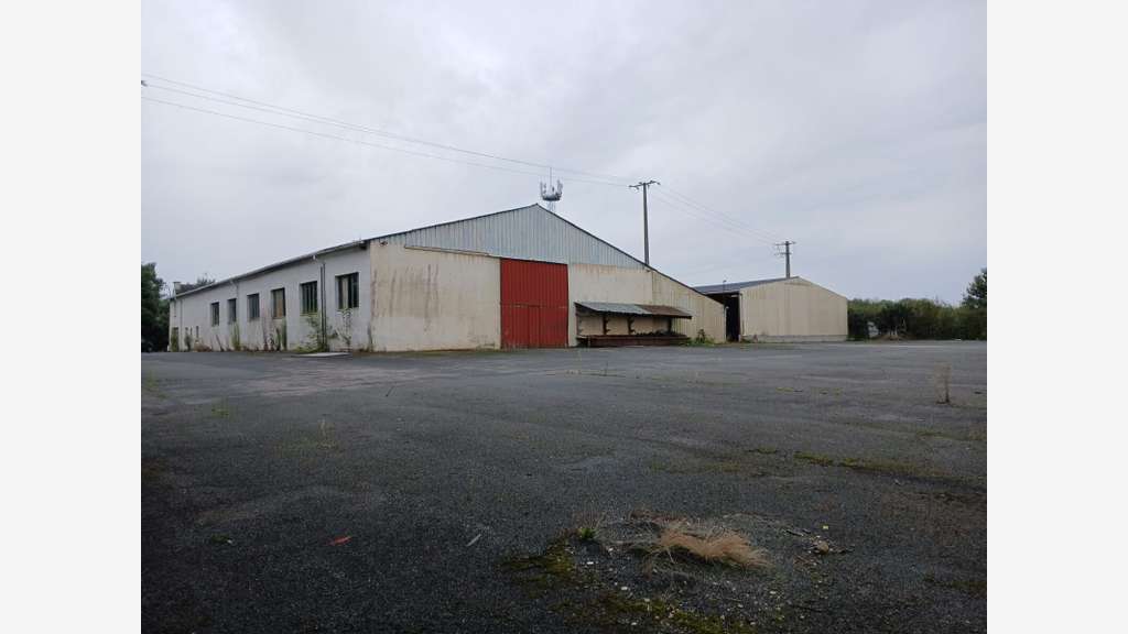 49 Segré, locaux d'activité 2300 m² à vendre.