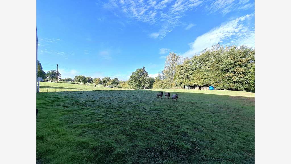 Locaux 840m² à vendre à Flers
