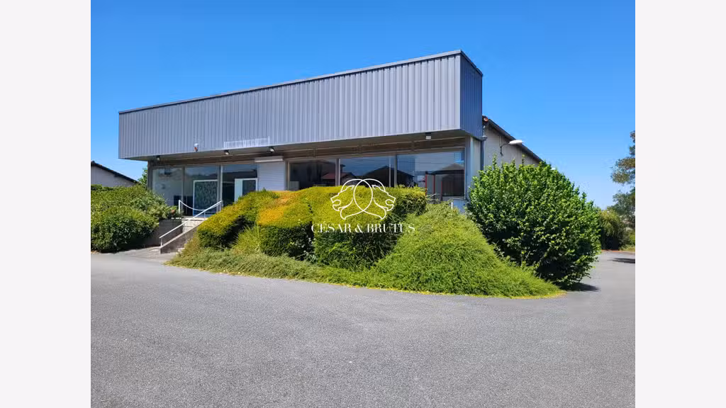 Locaux industriels 1680m² à vendre à Belleville 69