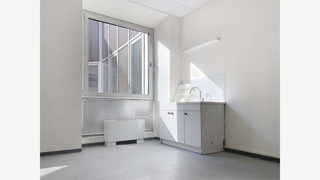 AV locaux 266m² R+2 à Strasbourg Petite France