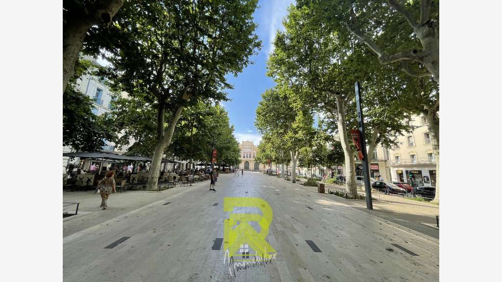 Vente murs commerciaux rue commerçante de Béziers 