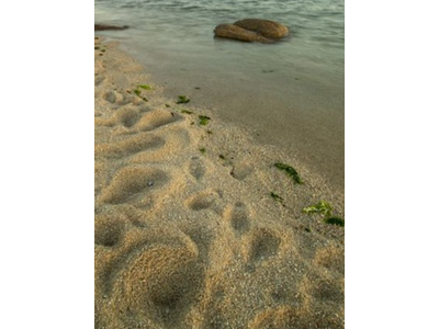 Vente Locaux commerciaux - Boutiques à Camaret-sur-Mer