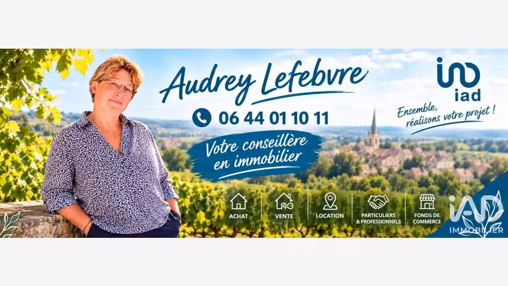 Vente murs commerciaux loués à Les Riceys