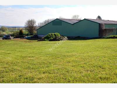 A vendre murs loués + terrain proche Verdun