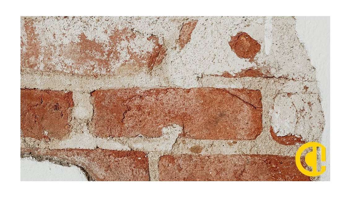 Vente murs commerciaux occupés à Lyon 69009