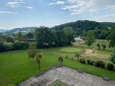 Vente murs libres hôtel restaurant dans le Béarn 