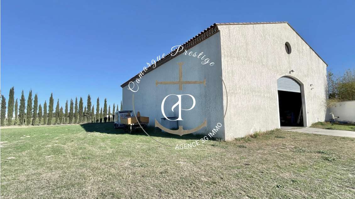 Vente Hangar agricole de 300m² à Aigues-Mortes