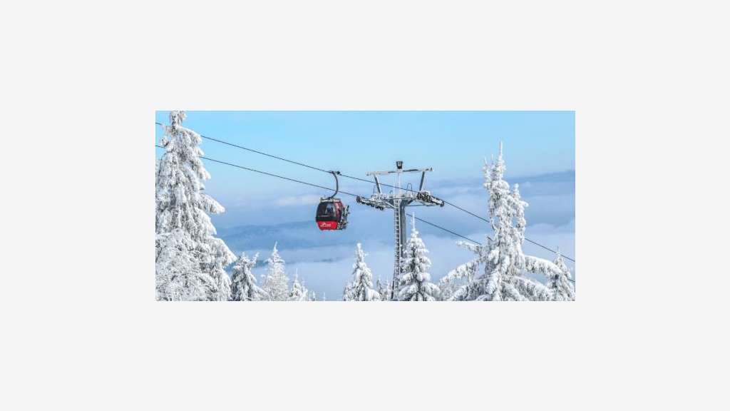 Vente murs et fonds restaurant en station ski 06