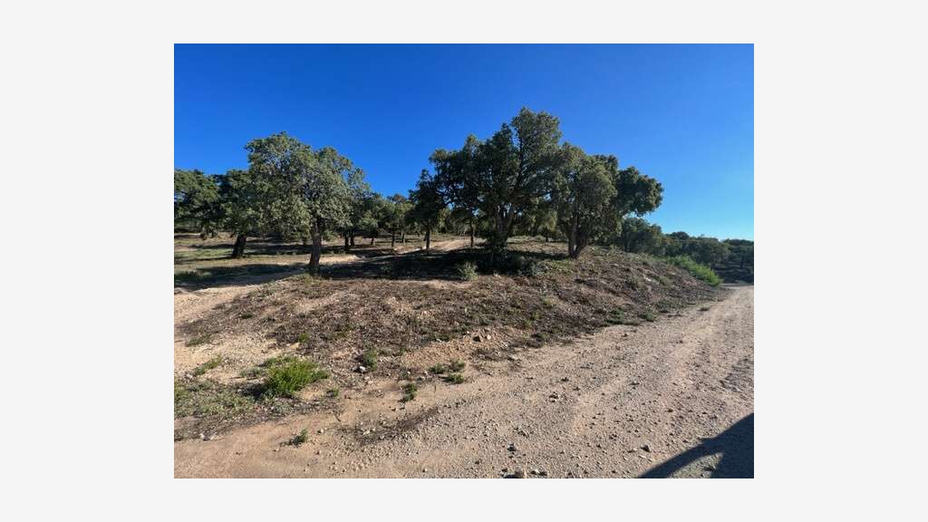 Vente terrain 38 hectares vue mer à Sainte Maxime