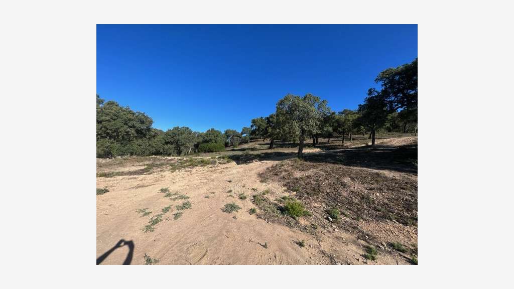 Vente terrain 38 hectares vue mer à Sainte Maxime
