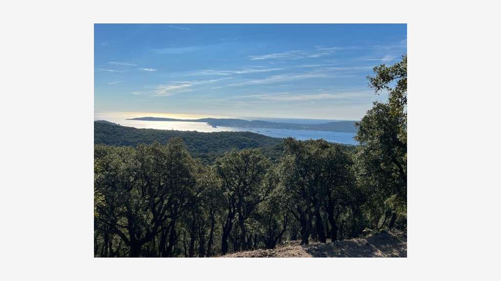 Vente terrain 38 hectares vue mer à Sainte Maxime