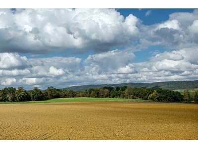 Vente Terrains industriels et agricoles à Courmelles