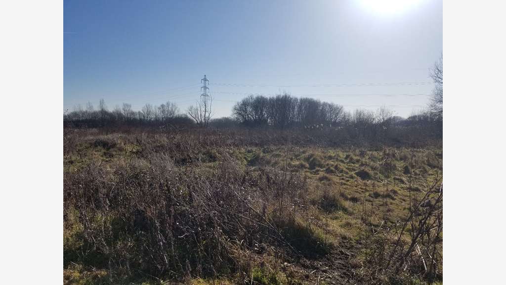 Terrain agricole de 14 000m² à vendre à Bruges