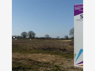 Vente terrain industriel 2 ha aux portes d'Orléans