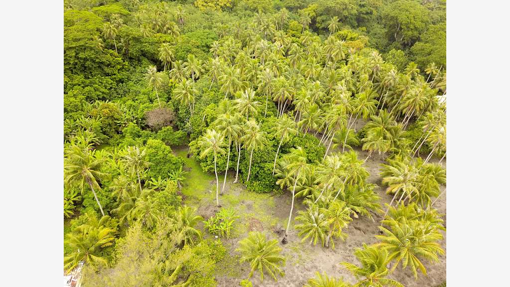 Terrain d'exception Bora Bora en face Vaitape
