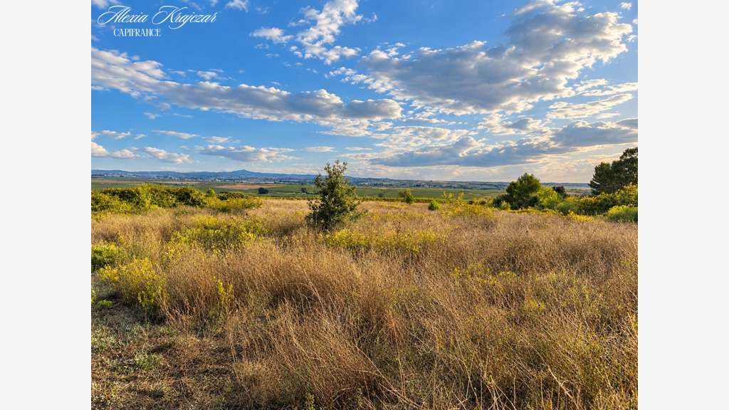A vendre terrain agricole 10097m² à Corneilhan